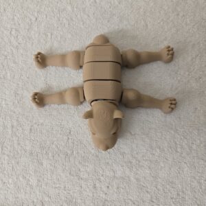 Articulated Female Lion - Large